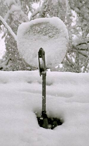 Schüssel im Schnee